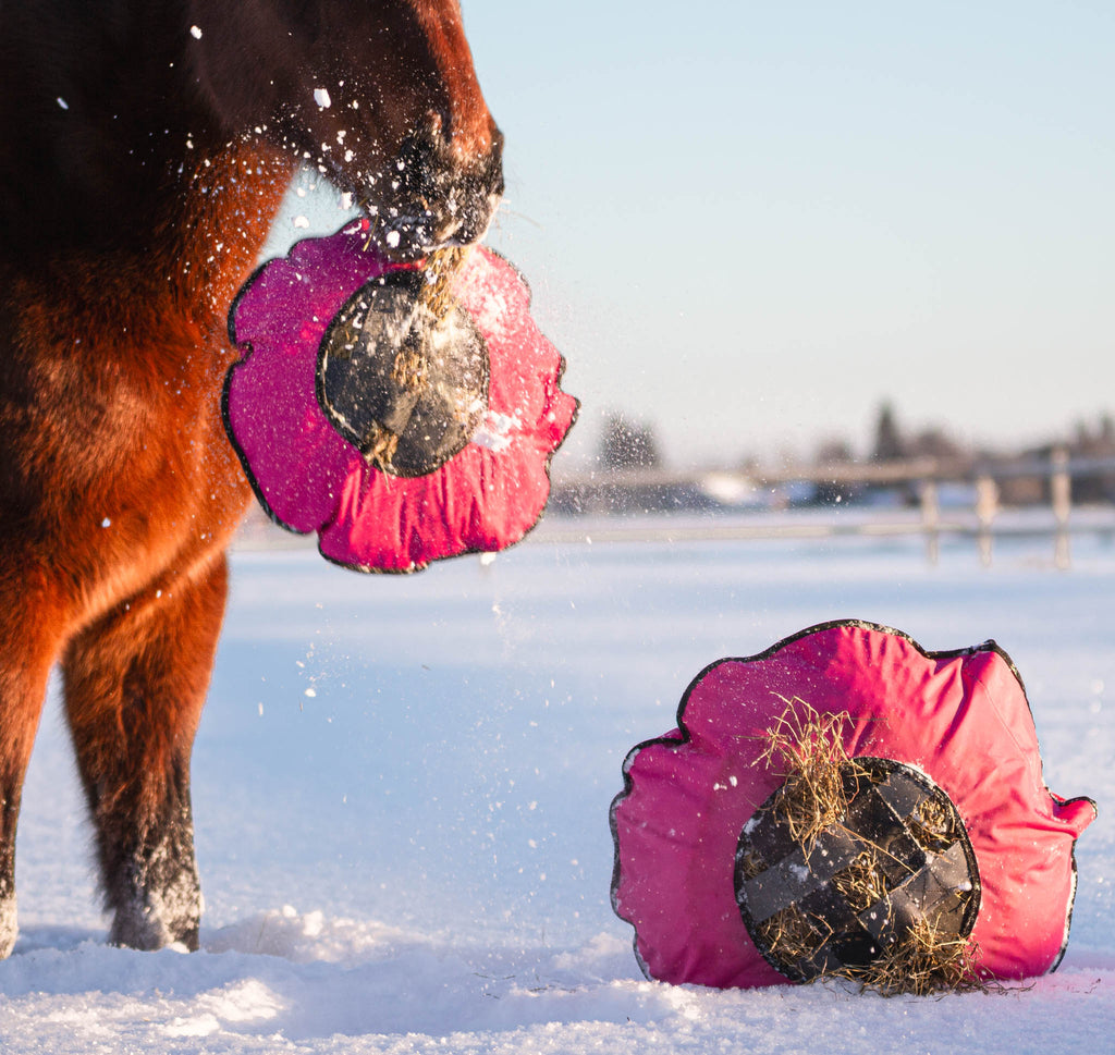 Heica Fluffy Hay Feeder