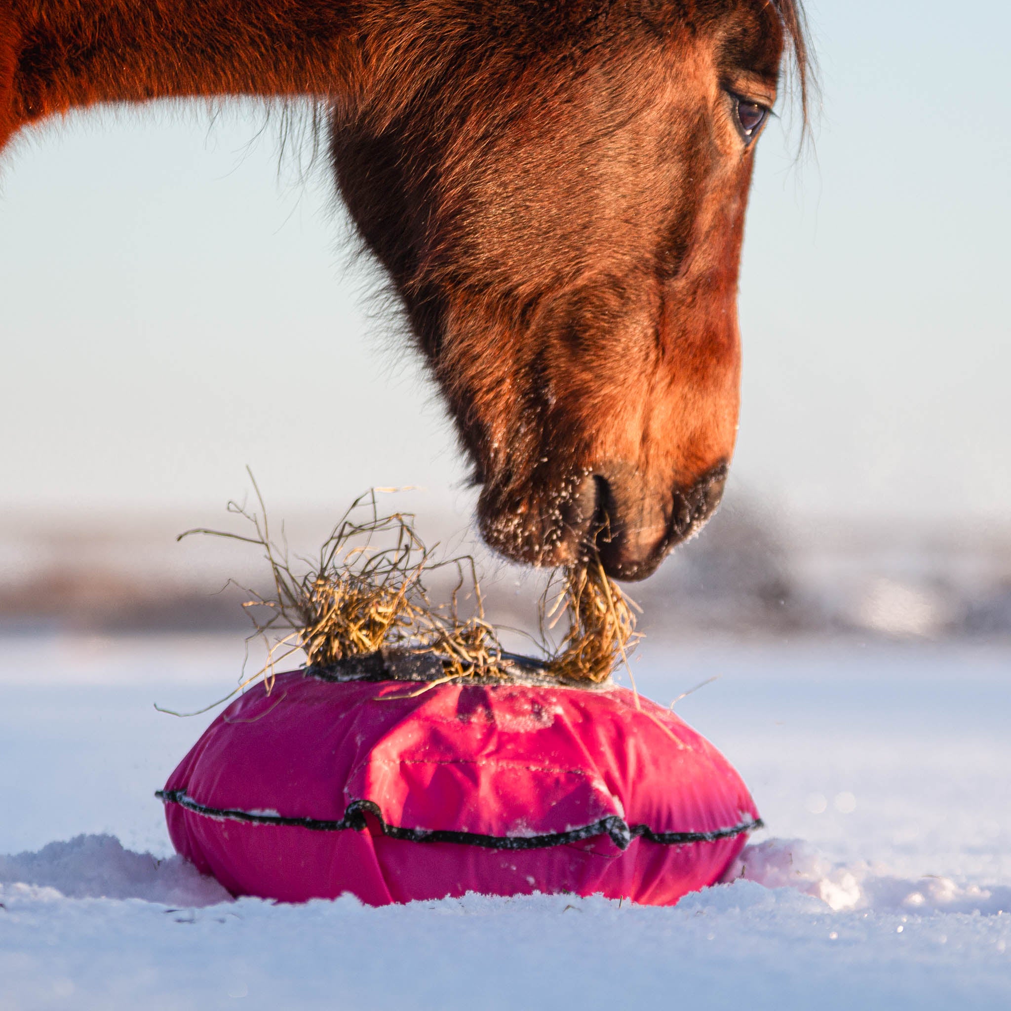 Heica Fluffy Hay Feeder