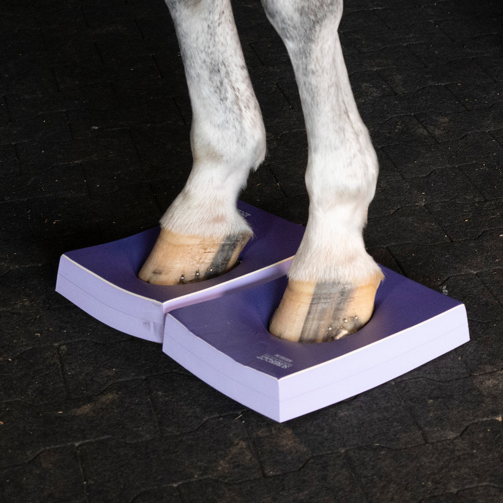 Level 5 - Medium Pads