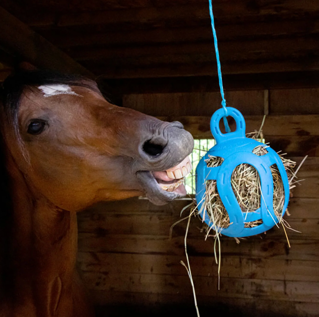 Jolly Hay Ball