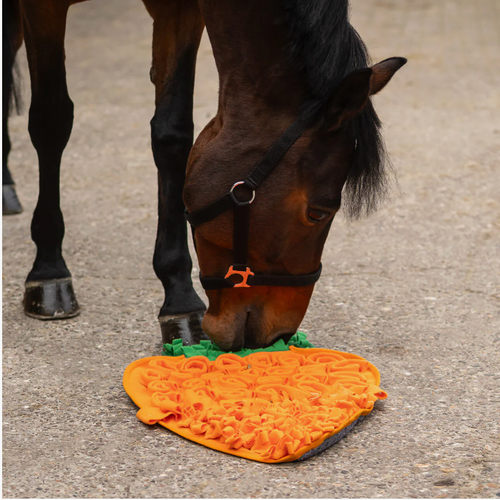 Carrot Snuffle Mat