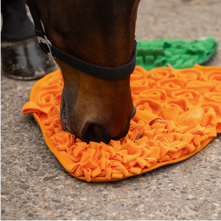 Carrot Snuffle Mat (coming soon)