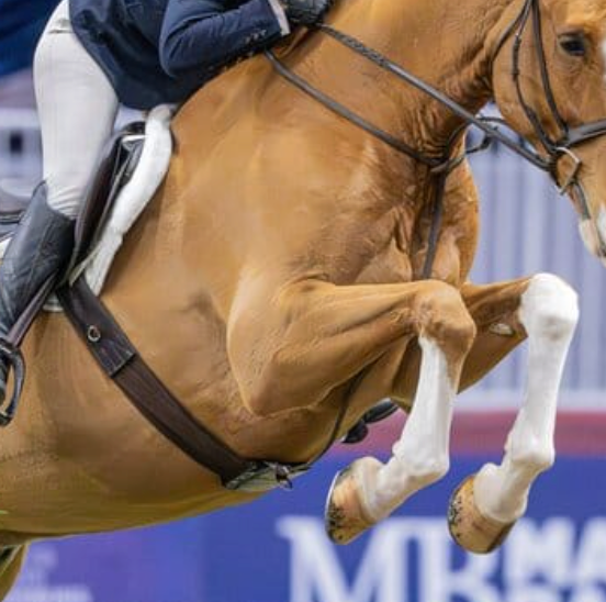 Tapestry Comfort Girth