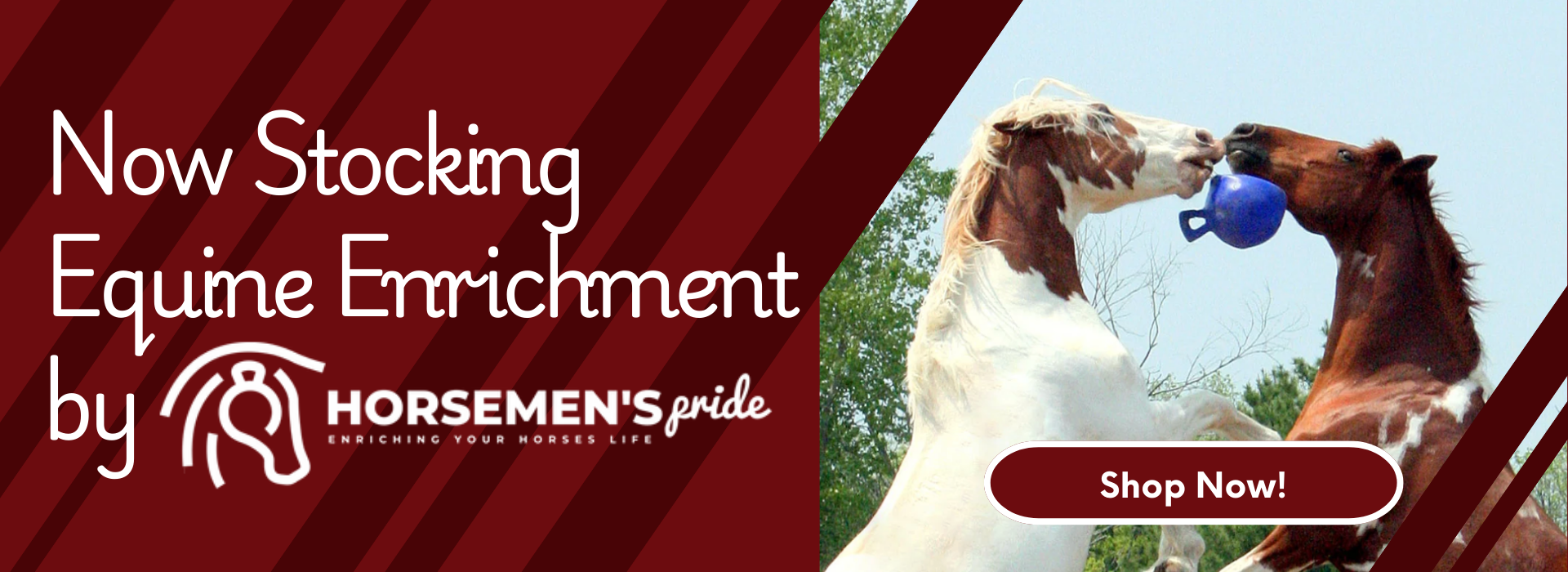 Advertisement for Horsemen's Pride equine enrichment products featuring two horses playing with a ball.