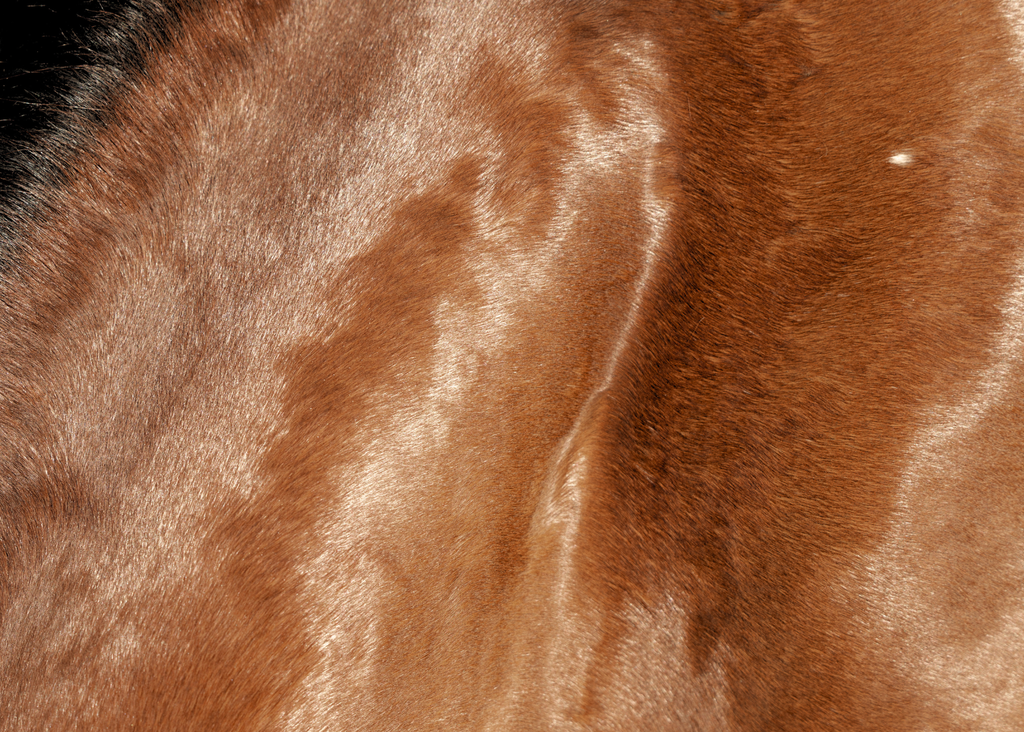 Solstice: a Luxury Summer Coat Spray
