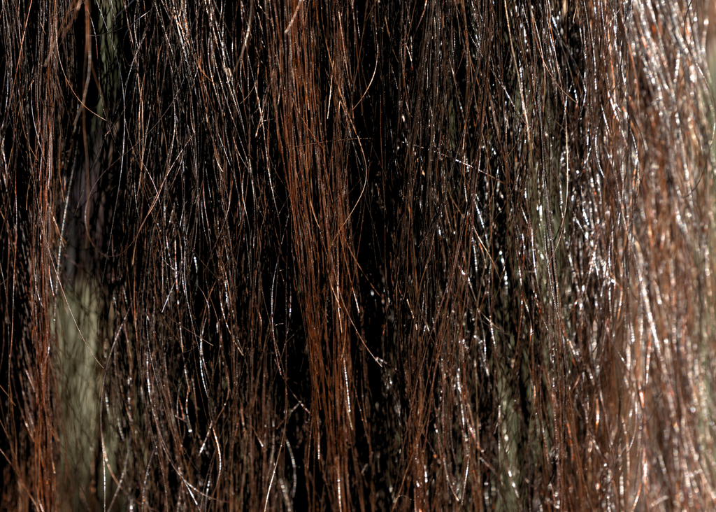 Silk: a Luxury Mane & Tail Detangler