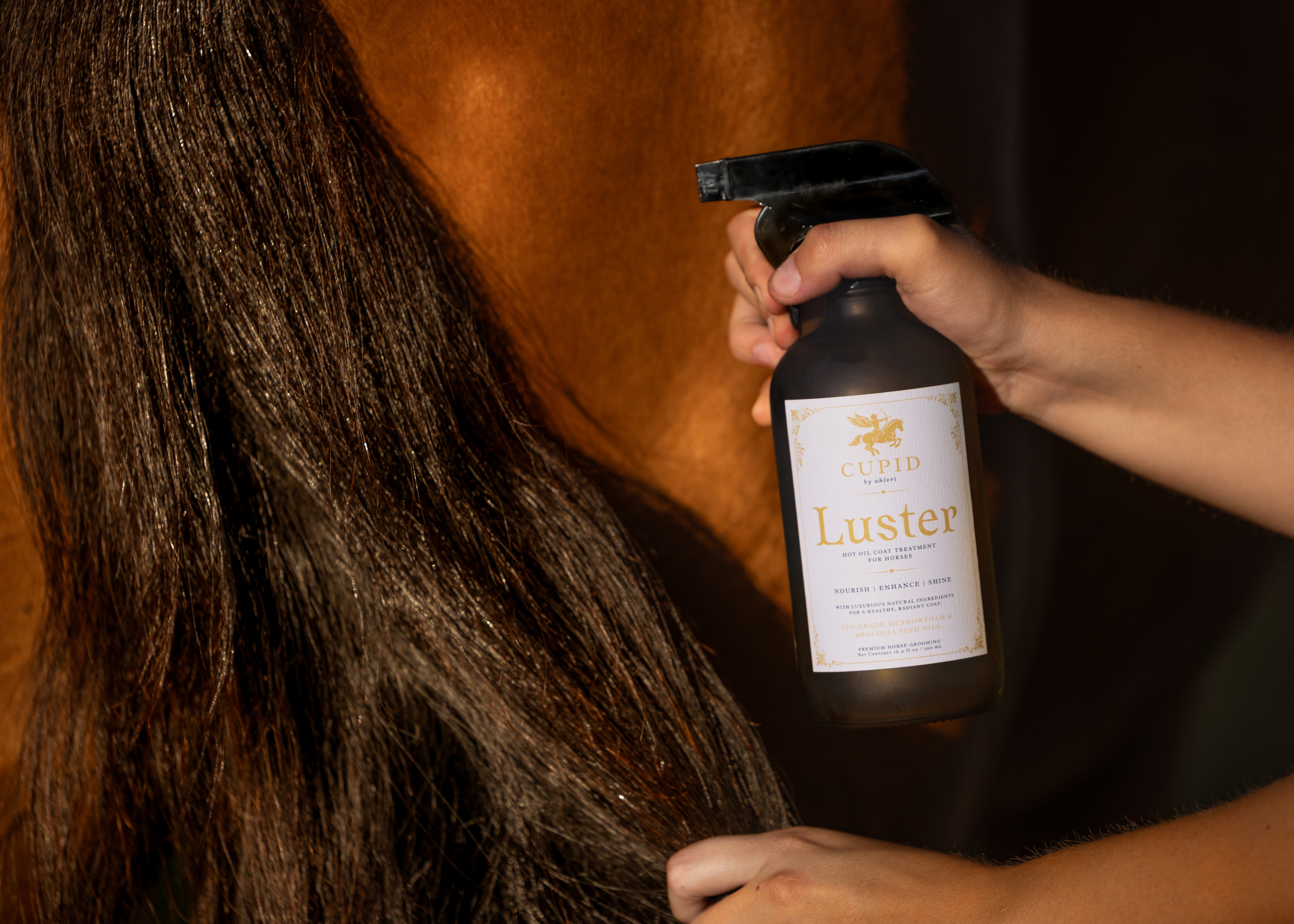 Luster: a Luxury Hot Oil Coat Treatment