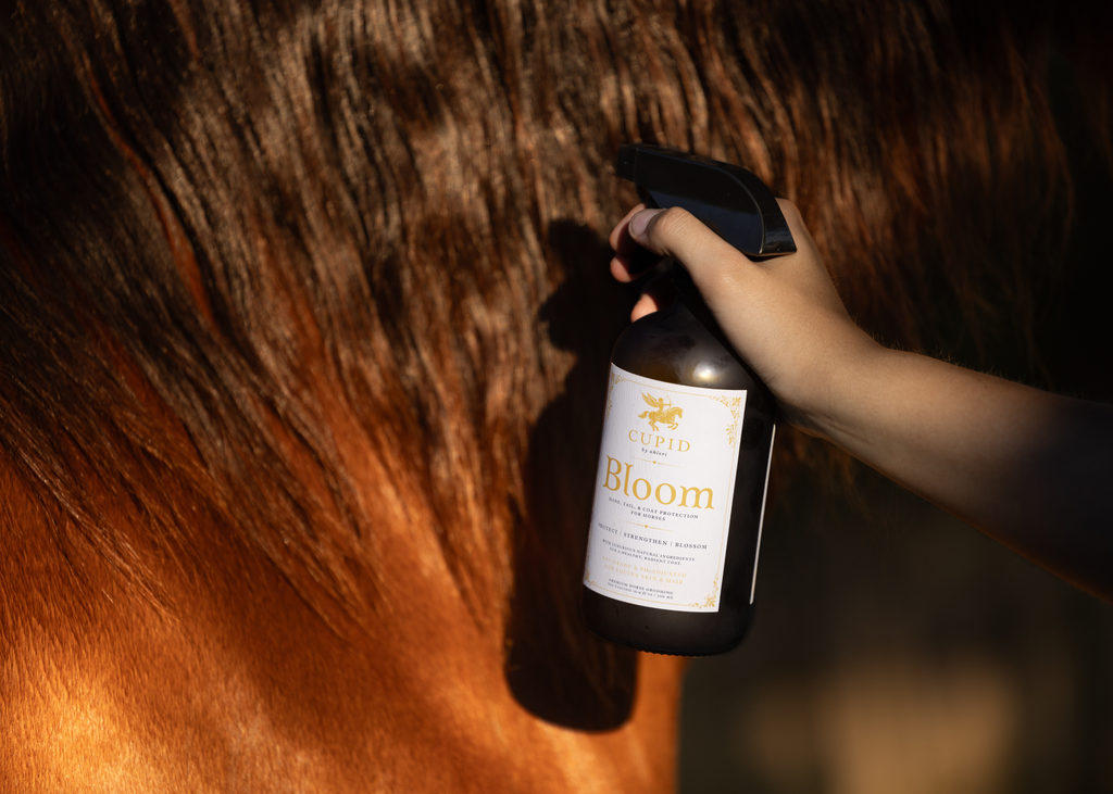 Bloom: a Luxury Mane & Tail Protectant