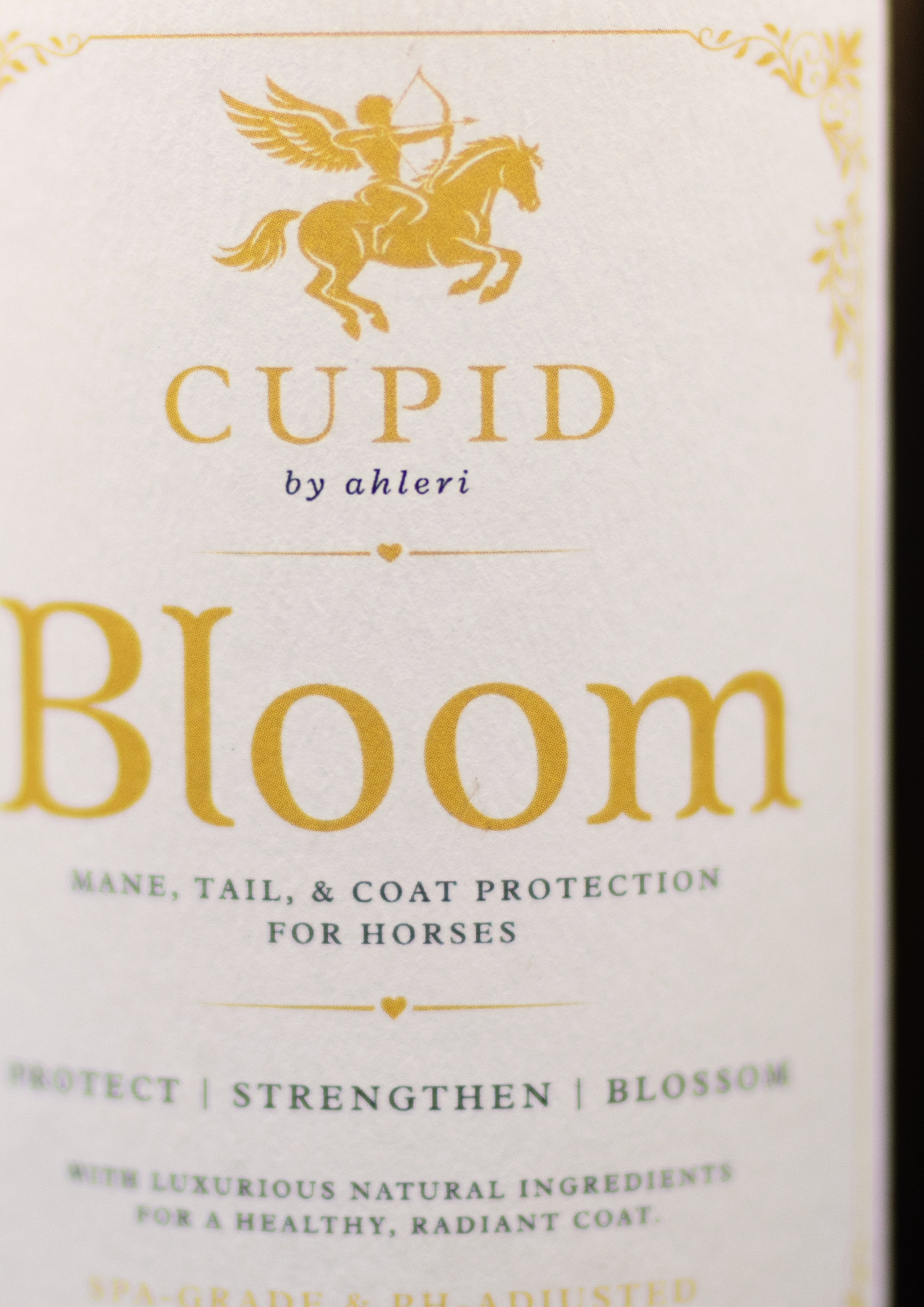 Bloom: a Luxury Mane & Tail Protectant