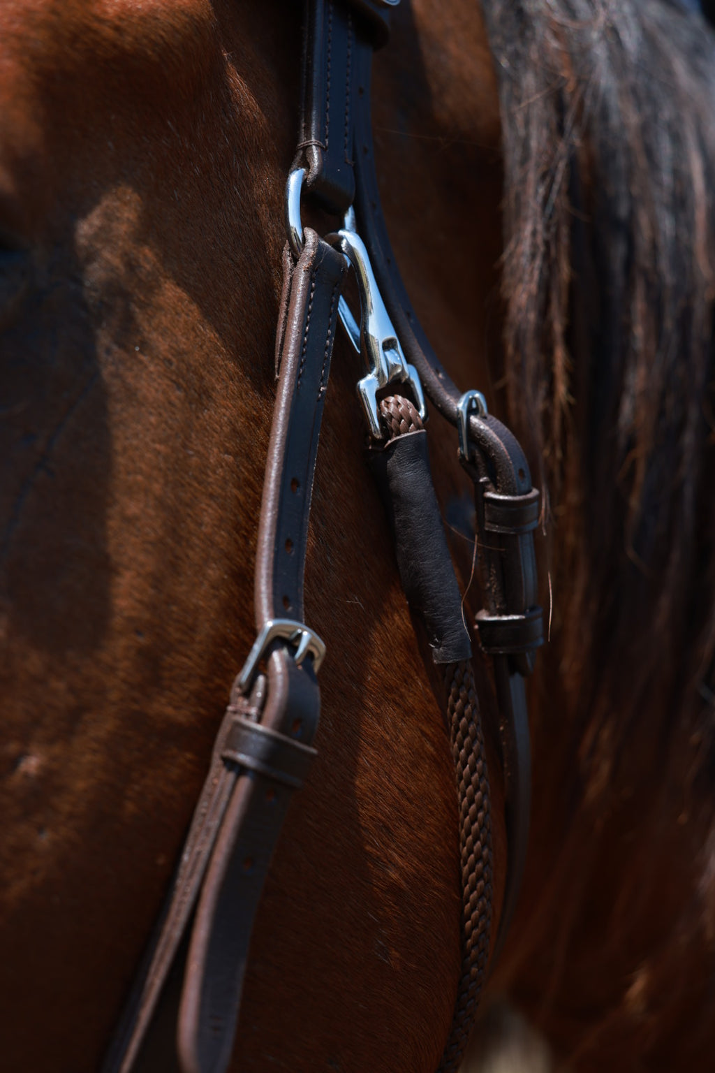 QHP Multiway Bitless Bridle - Ceto image 7