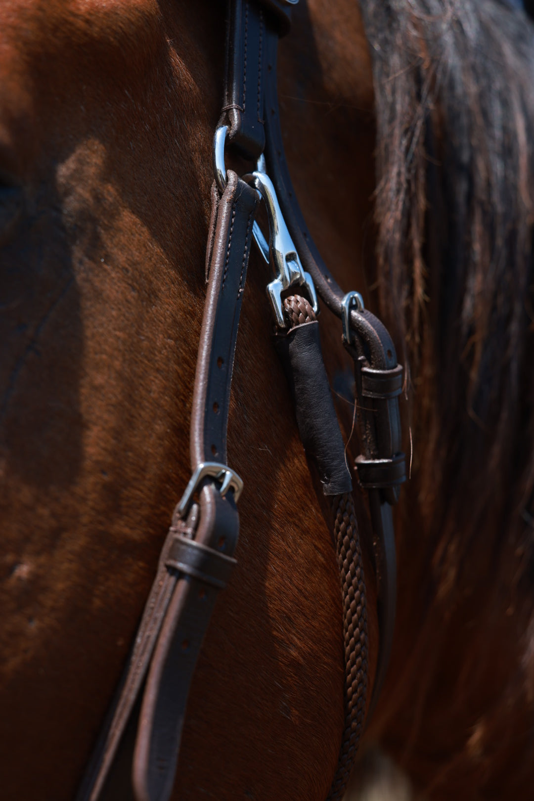 QHP Multiway Bitless Bridle - Ceto image 7