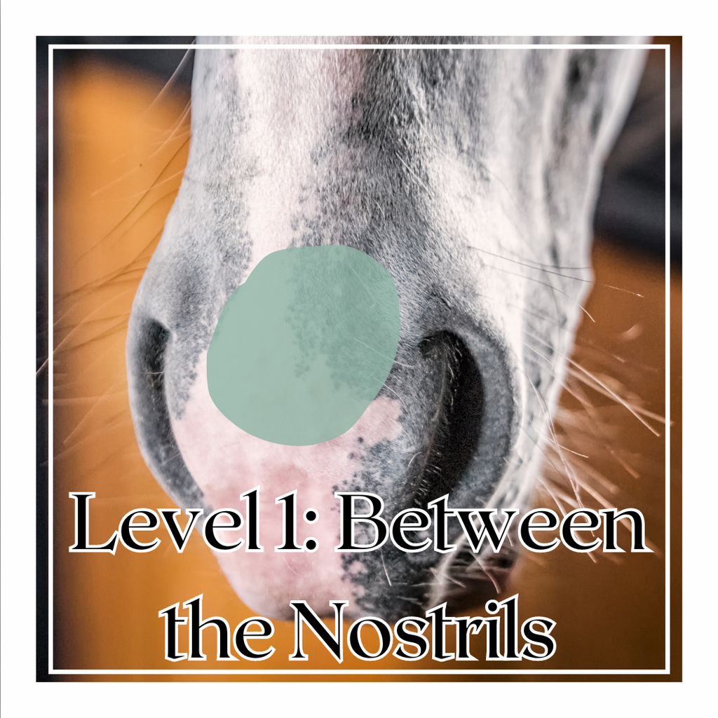 Muzzle Butter: Impulsion image 4