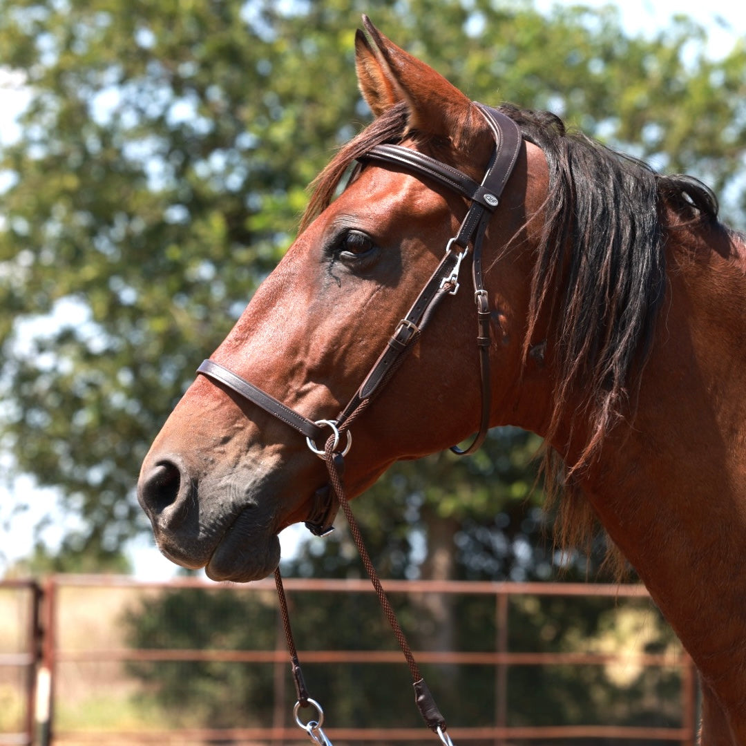 QHP Multiway Bitless Bridle - Ceto image 3