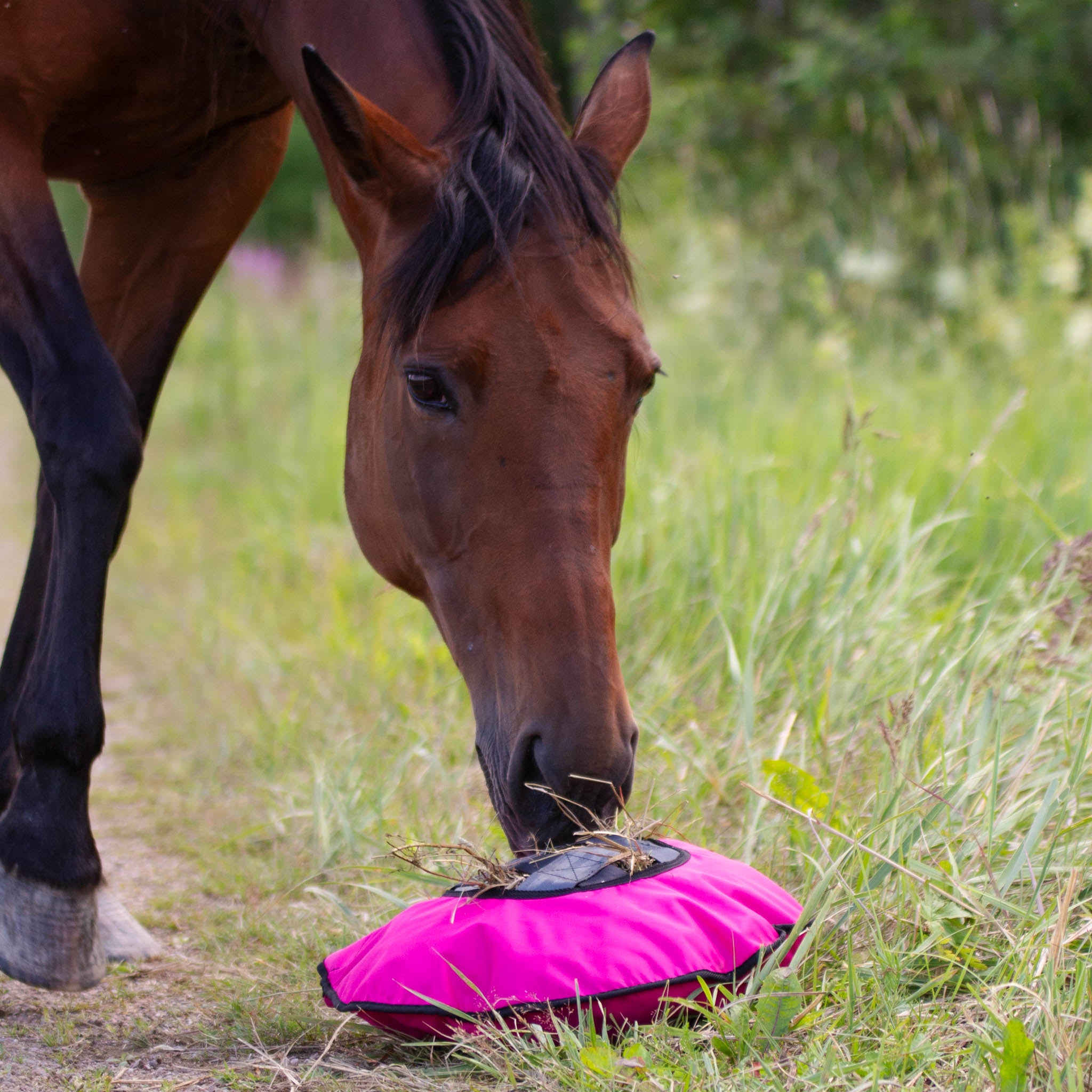 Mini Heica Fluffy Hay Feeder image 5