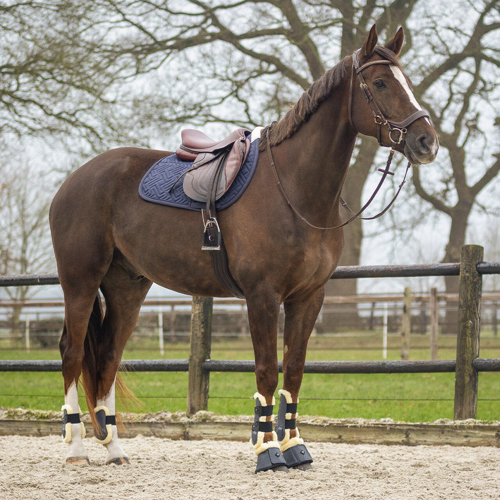 QHP Sensisoft Saddle Pad - Jump image 4