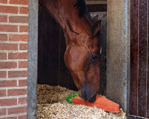 QHP Happy Carrot Horse Toy XL 🥕 image 1