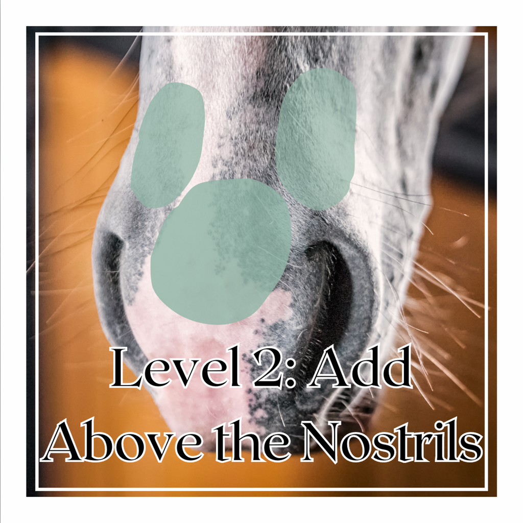 Muzzle Butter: At-Ease Chamomile image 5