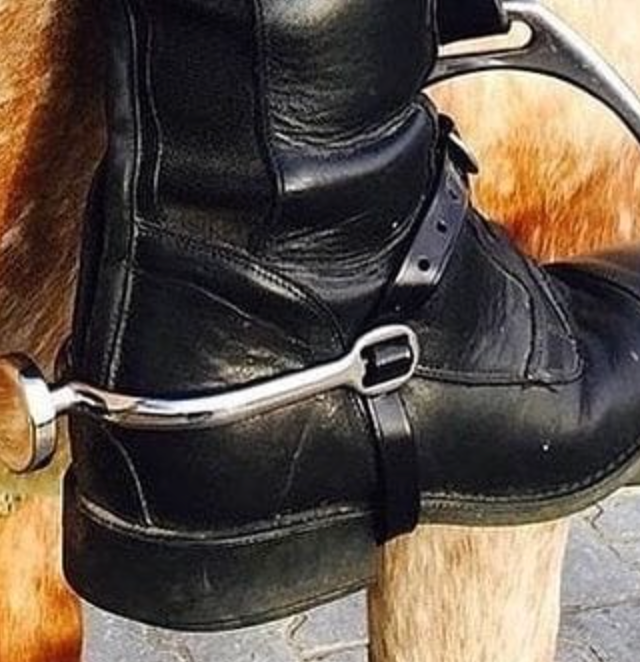 Tapestry Spursuader Humane Spurs image 2