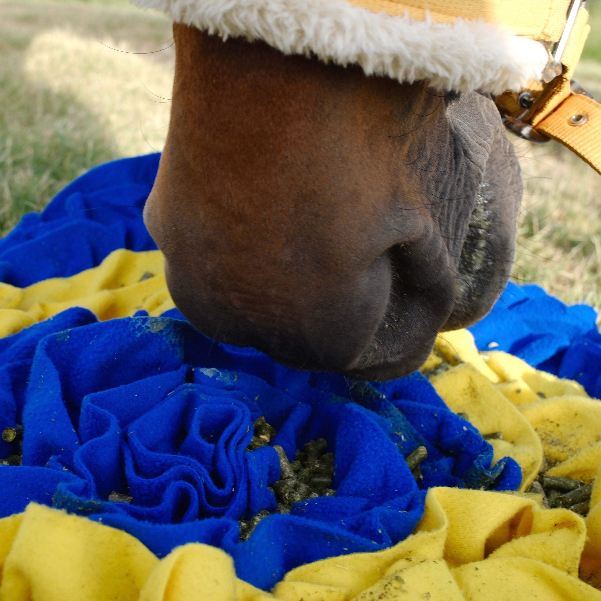 QHP Horse Snuffle Mat image 6