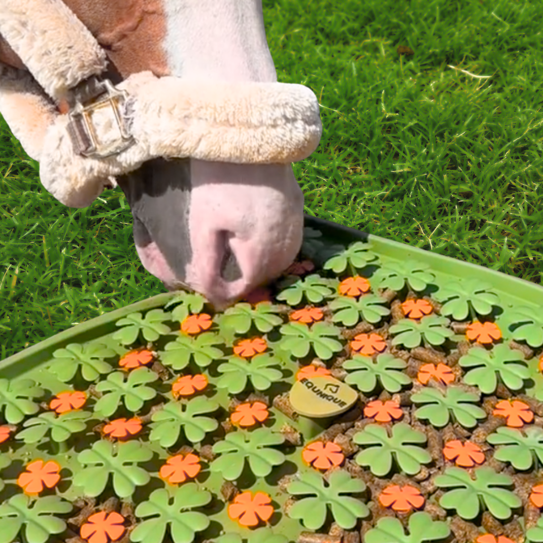 Equnique Enrichment Clover Treat Mat for Horses 🍀 image 2