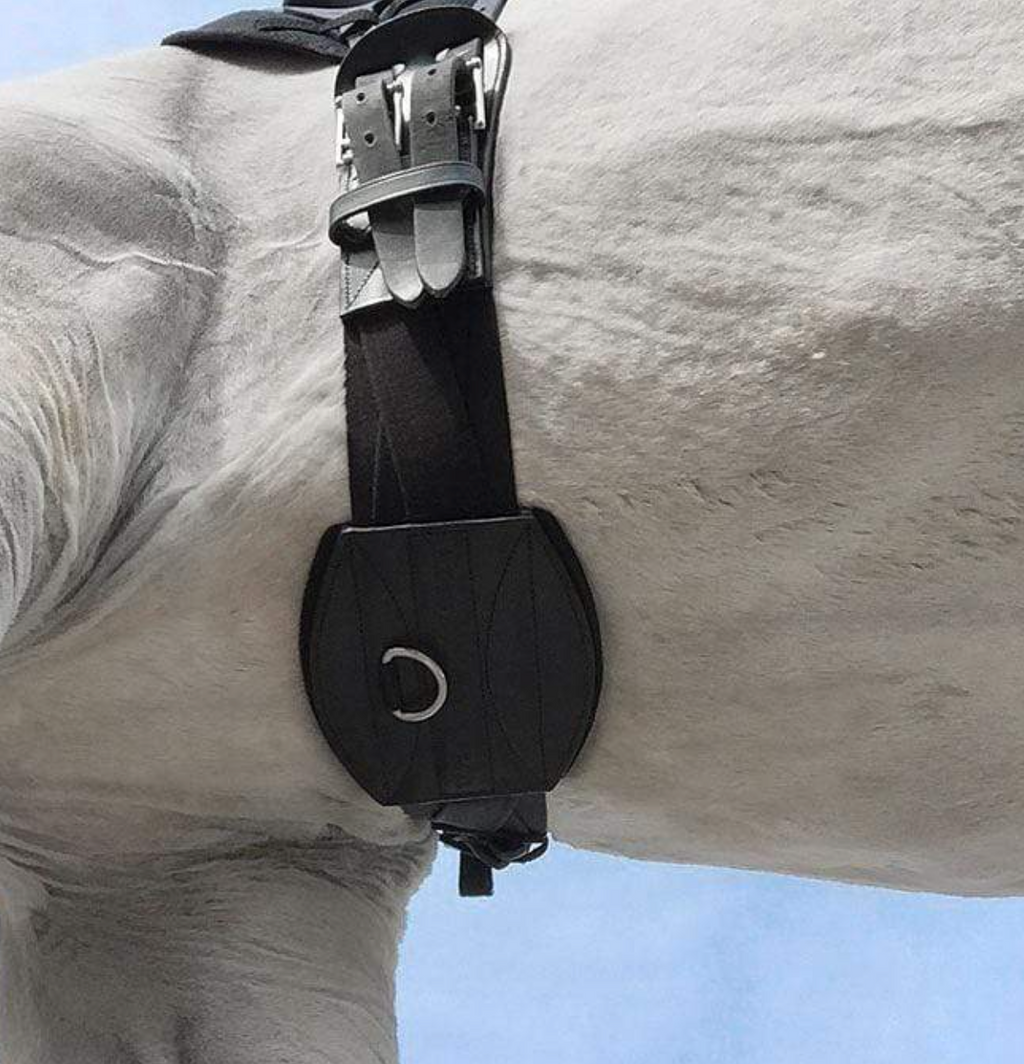 Tapestry Comfort Girth - Dressage/Monoflap image 1