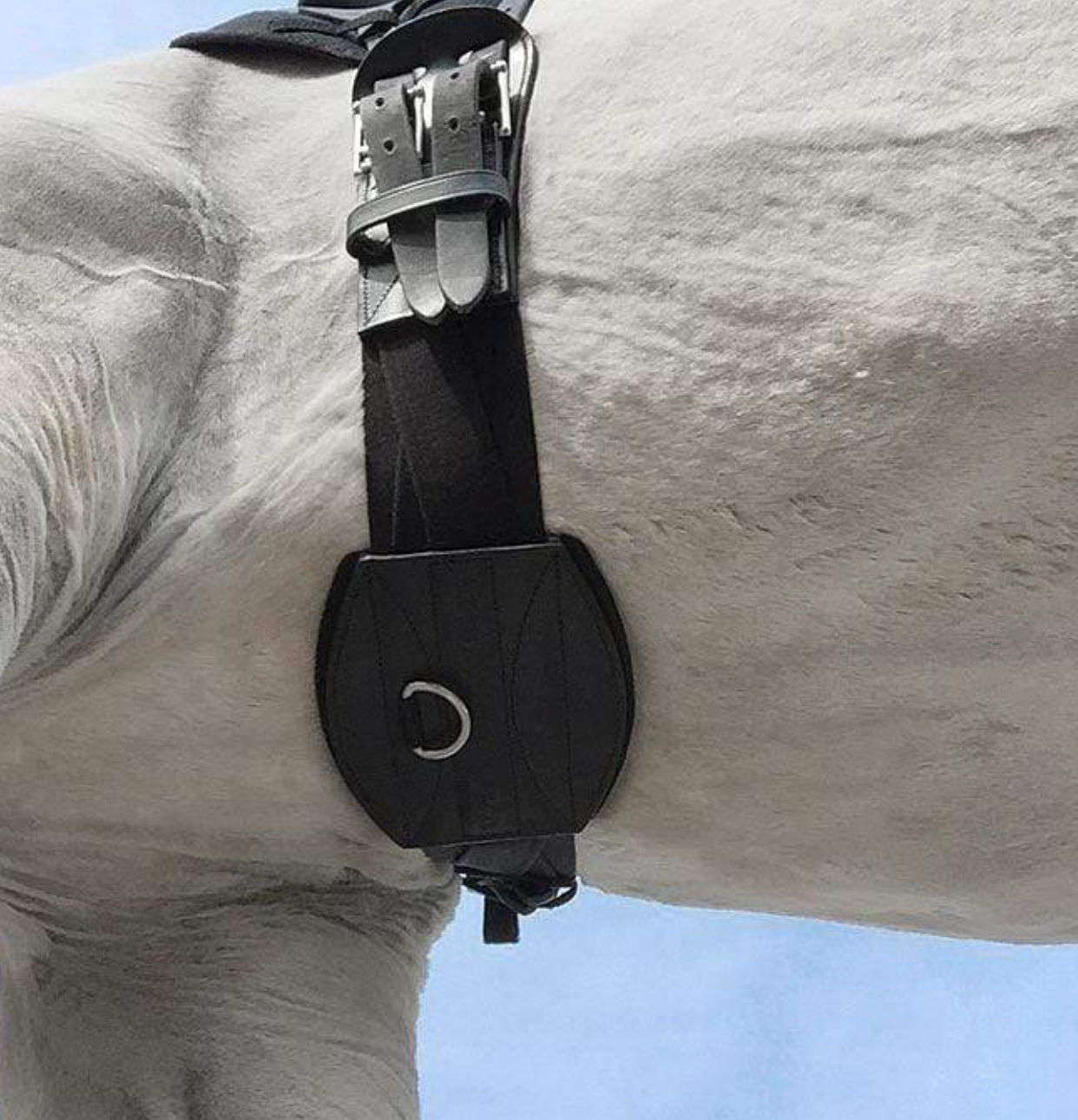 Tapestry Comfort Girth - Dressage/Monoflap image 1