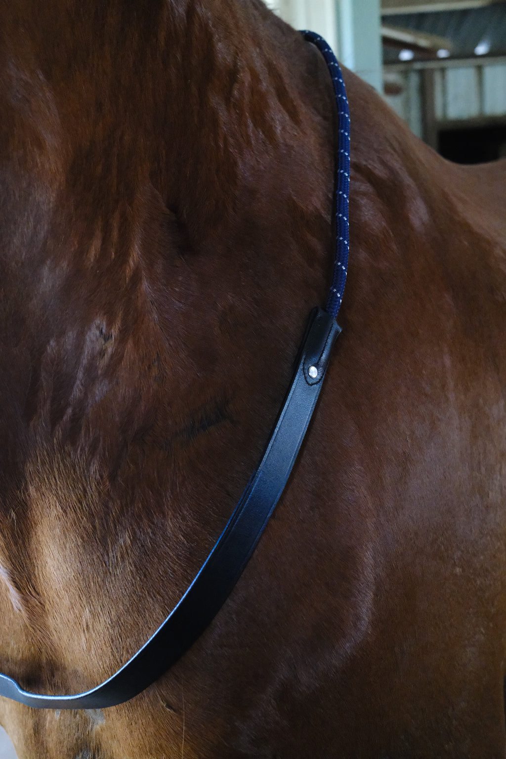 QHP Bridleless Neck Rope for Horses image 2