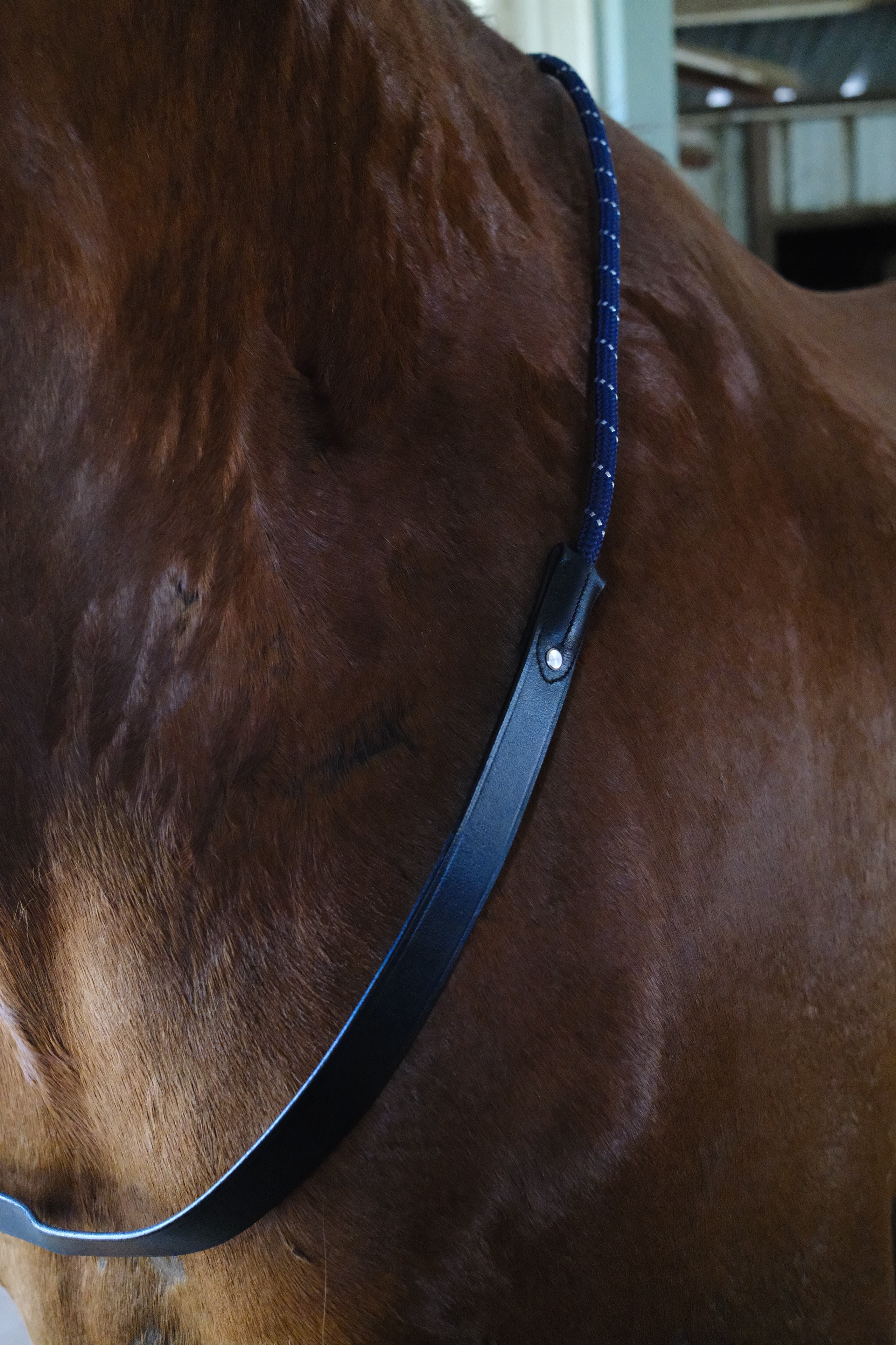QHP Bridleless Neck Rope for Horses image 2