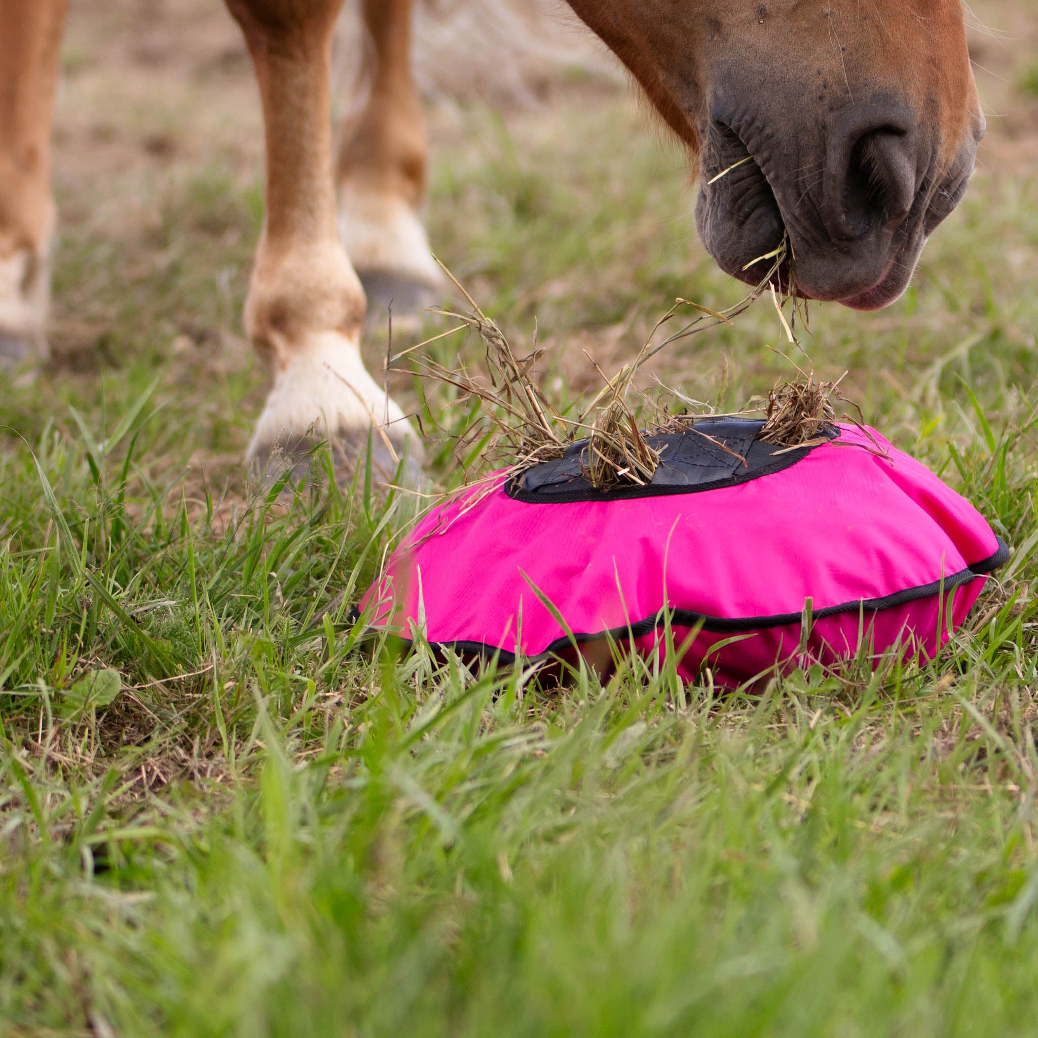 Mini Heica Fluffy Hay Feeder image 3