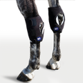 Hock Wraps