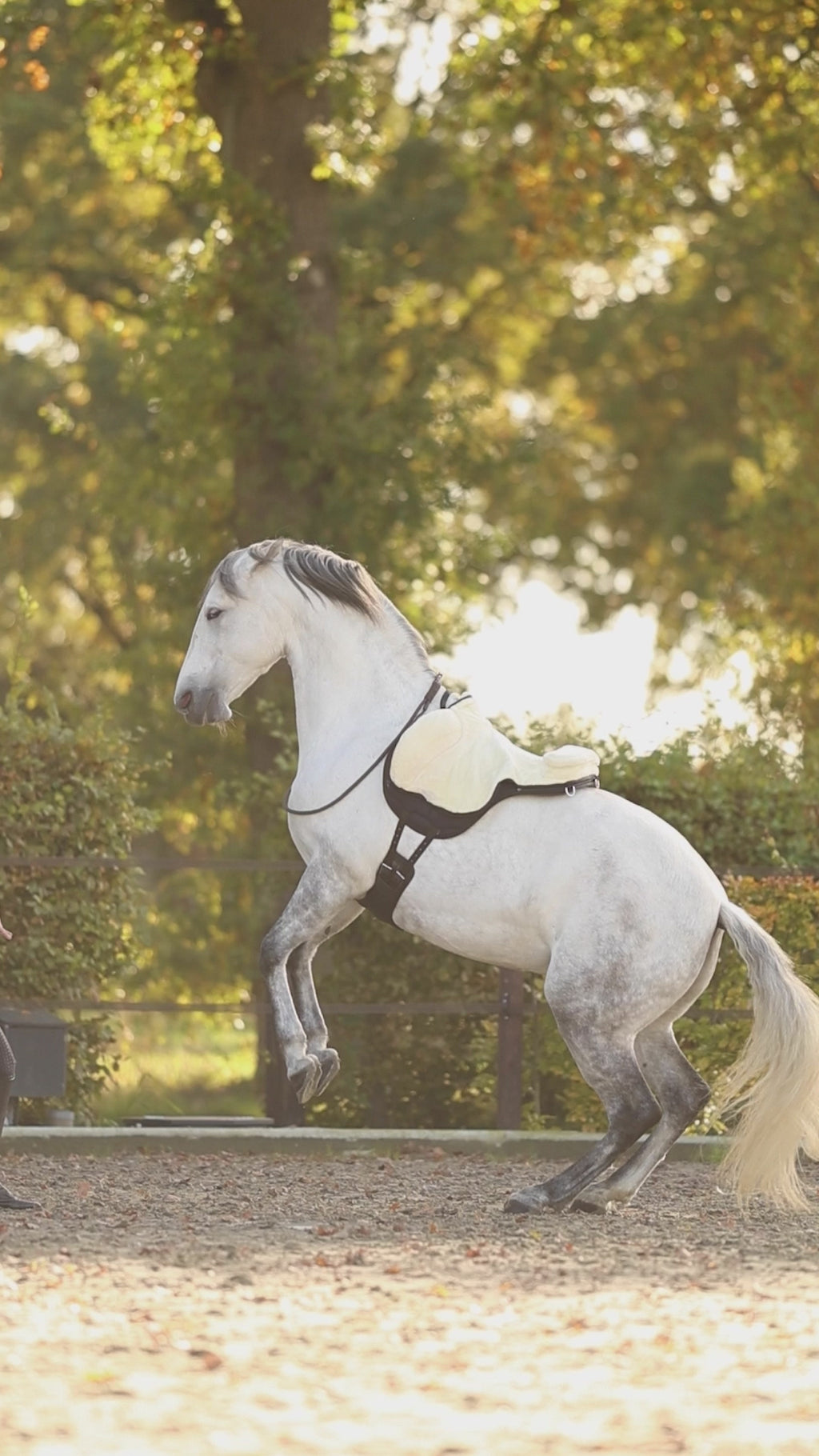 Liberta Adjustable Western Neck Rope