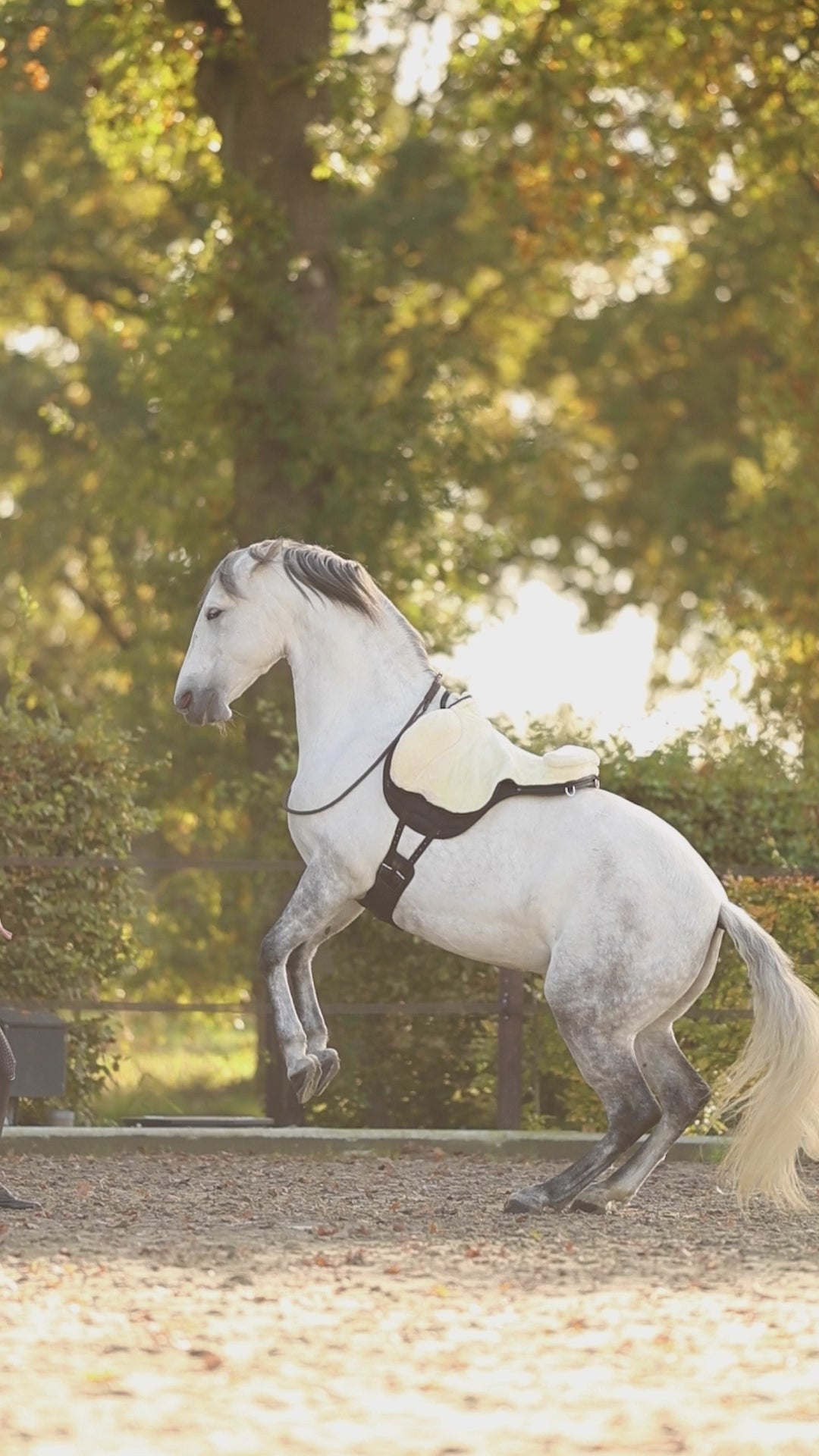 Liberta Adjustable Western Neck Rope