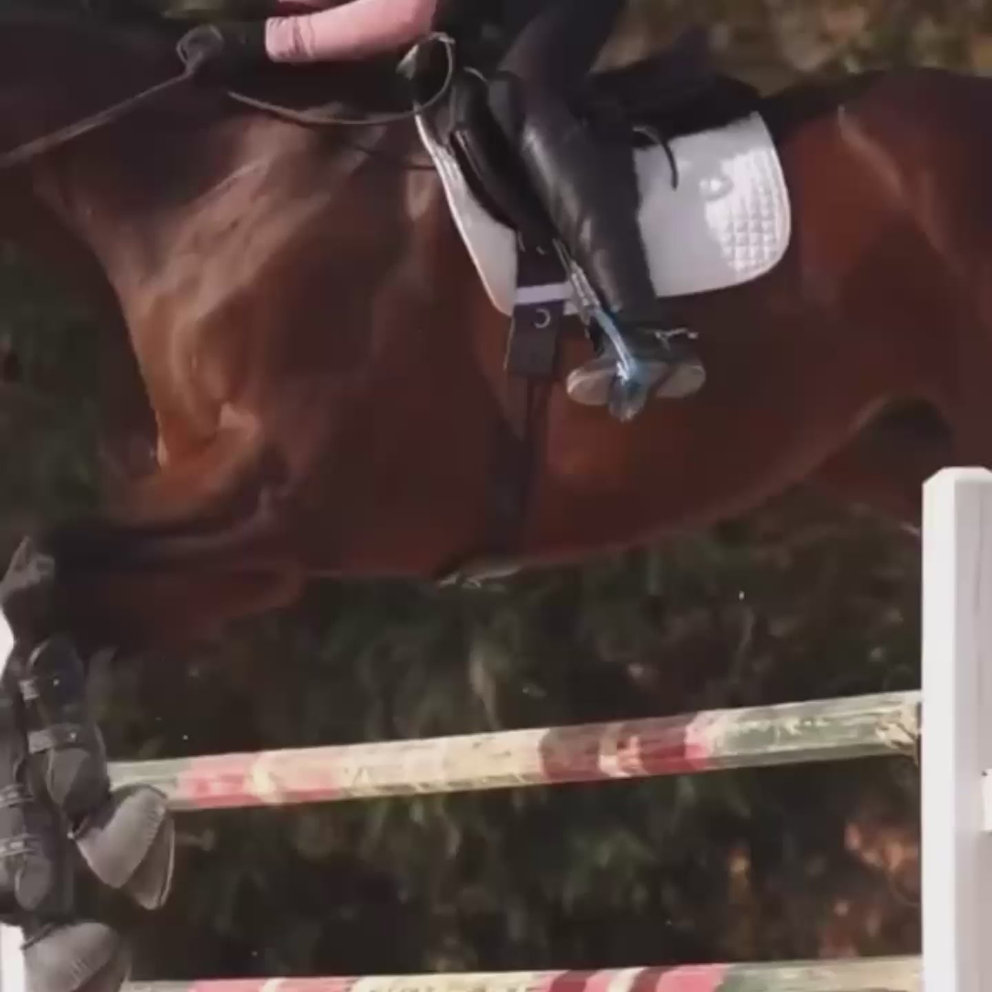 Tapestry Comfort Girth